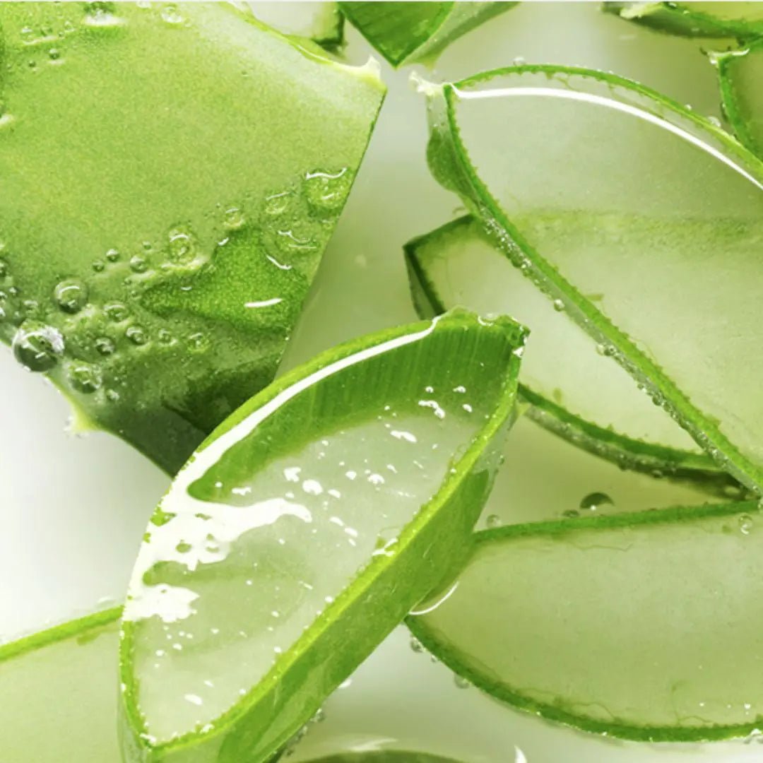 (Buy 2 Get 1 Free) Foodaholic Nature Aloe Vera Toner